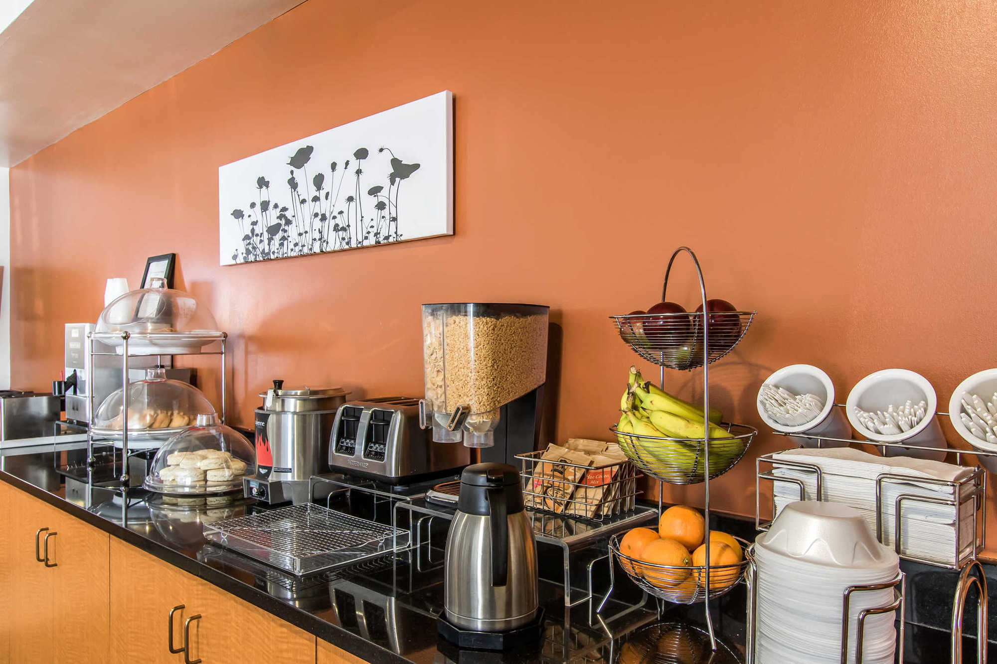 Sleep Inn & Suites Lebanon - Nashville Area Facilities photo